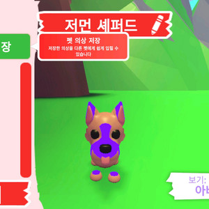 입양하세요 펫 네온 저먼 셰퍼드 판매합니다. 이미지