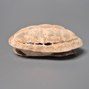 출토품 상 갑골 각사문 귀갑 갑골문 거북이 골동품 고미술품 수집품