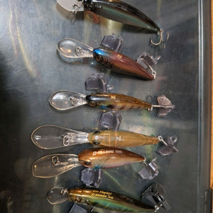 피네스하드베이트 라인 자칼 메가배스 레이드재팬 배스 이미지