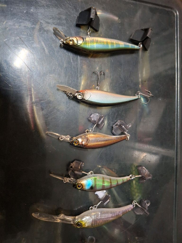 피네스하드베이트 라인 자칼 메가배스 레이드재팬 배스 이미지