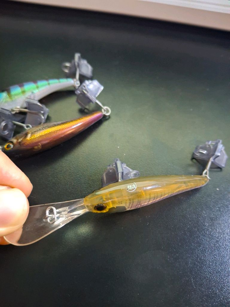 피네스하드베이트 라인 자칼 메가배스 레이드재팬 배스 이미지