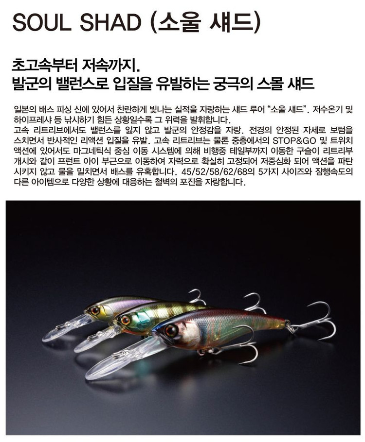 피네스하드베이트 라인 자칼 메가배스 레이드재팬 배스 이미지