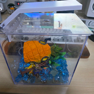 스폰지밥 미니 어항 세트 아크릴 3L