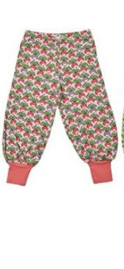 던스 멀티순무 핑크--1