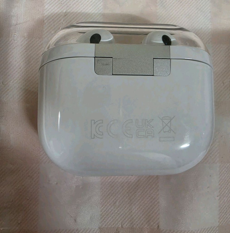 삼성 버즈 3 프로 본품/ 피크닉 케이스 이미지