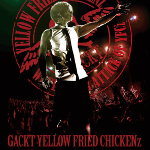 각트 GACKT 내한 콘서트 / 지정석 1열 2연석