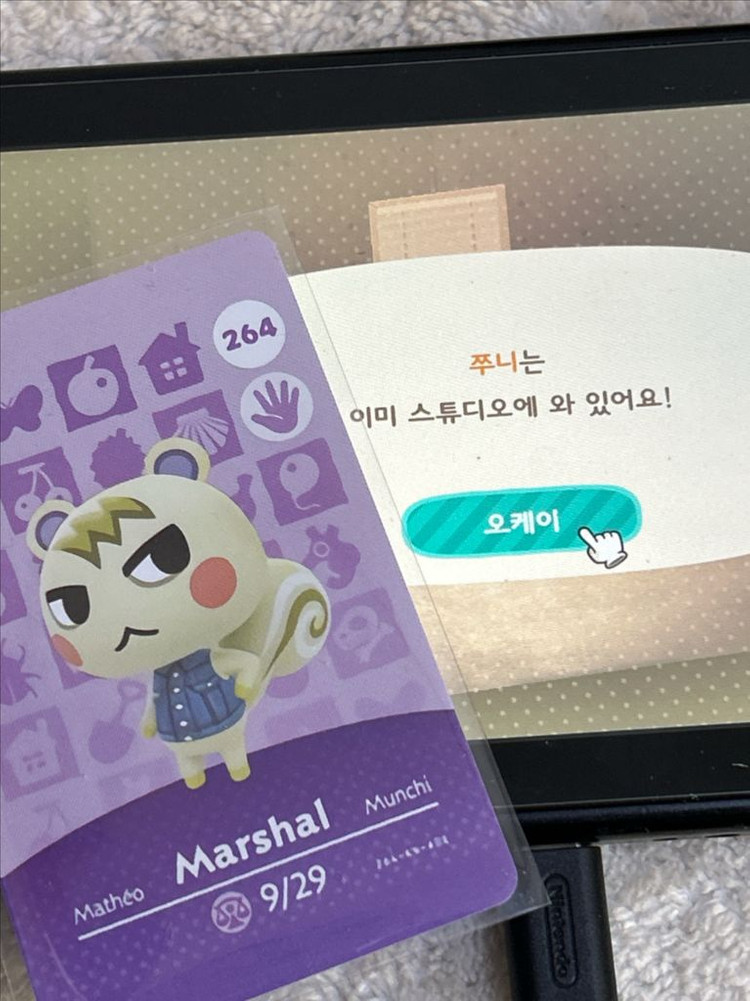 닌텐도 동물의숲 쭈니 호환 아미보 판매 이미지