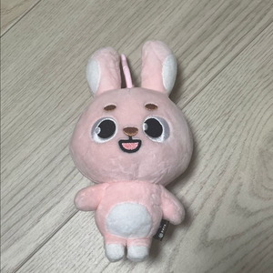 데이식스 원필 데니멀즈 필끼 인형 이미지