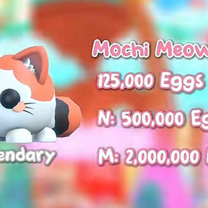 입양하세요 모찌 야옹이 이미지