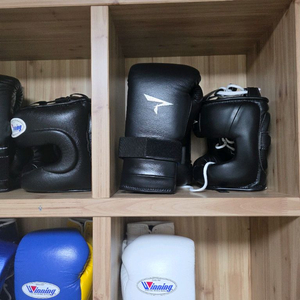 피넘 SG300 프리미엄 복싱 글러브 및 코보호 헤드기어 이미지