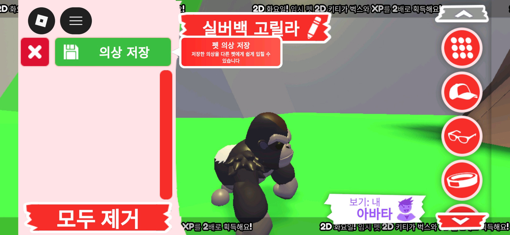 입양하세요 펫 실버백 고릴라 판매합니다.--1