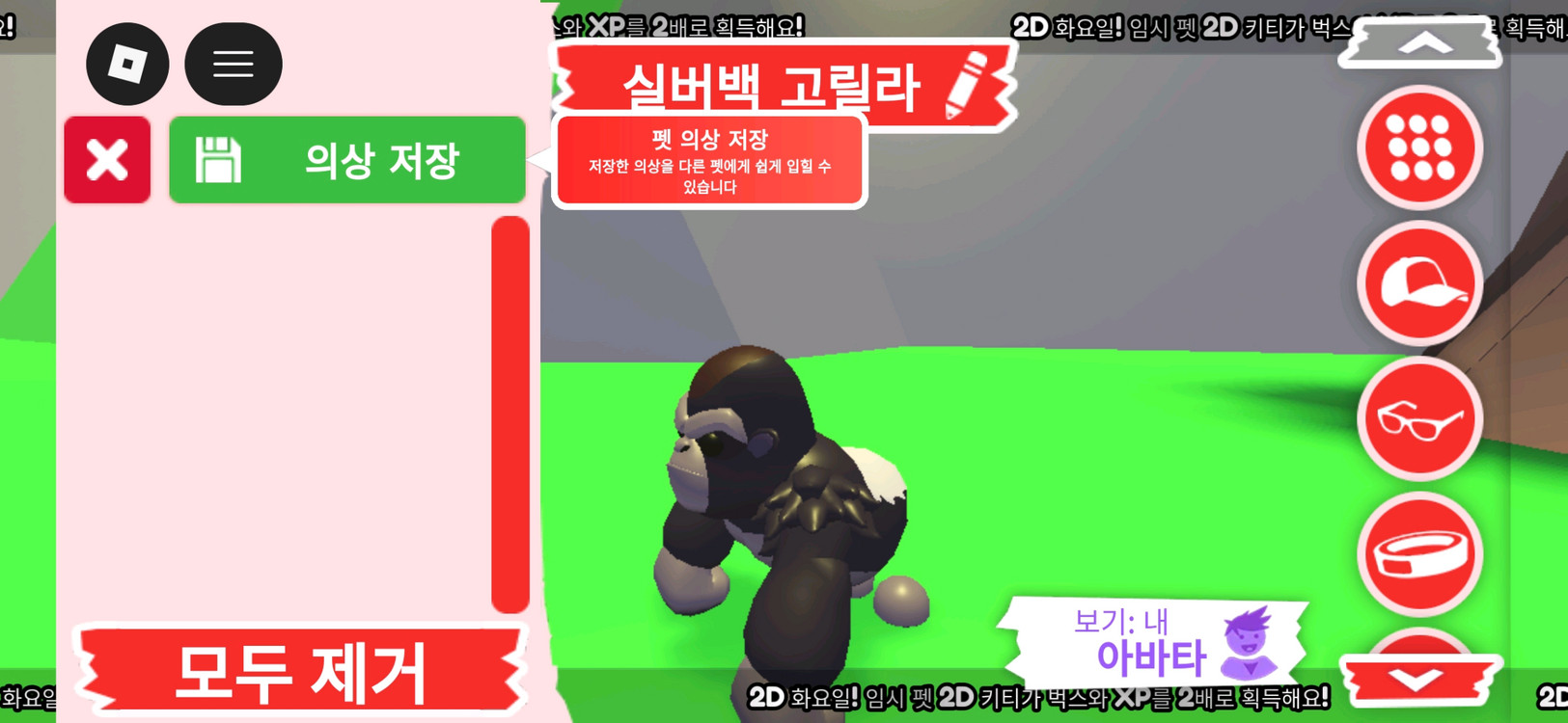 입양하세요 펫 실버백 고릴라 판매합니다.--2