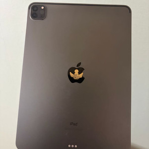 아이패드 프로 2세대 11인치 512gb 이미지