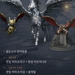 검은사막 코드 이미지