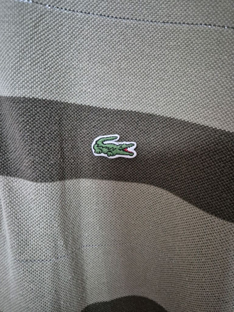 라코스테 스트라이프 반팔 카라티 이미지