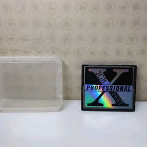 프로페셔널 CF 2G 메모리