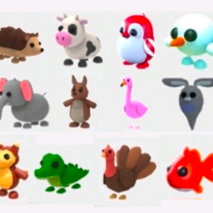 입양하세요 펫 구합니다 이미지