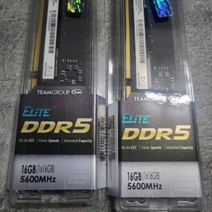 팀그룹 DDR5 PC5 5600 CL46 Elite 서린 16G 이미지