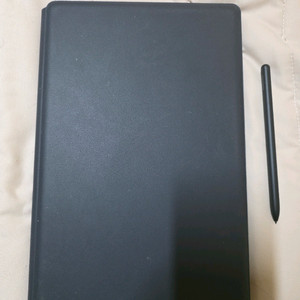 갤럭시 탭 S8+256, wifi, 5g / 타입커버