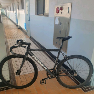 엔진11 볼텍스 판/대 이미지