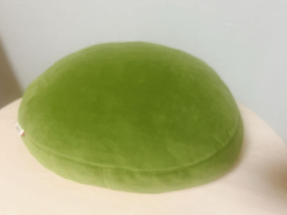 아보카도 모찌쿠션--1