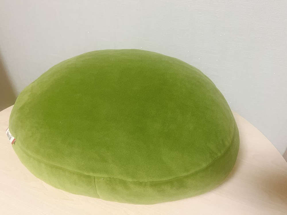 아보카도 모찌쿠션--2