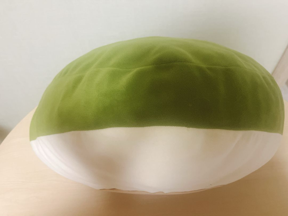 아보카도 모찌쿠션--6