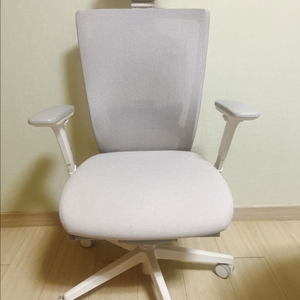 시디즈 메쉬 사무용 의자