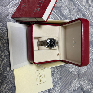 오메가 아쿠아테라 쿼츠 검판 39mm 이미지