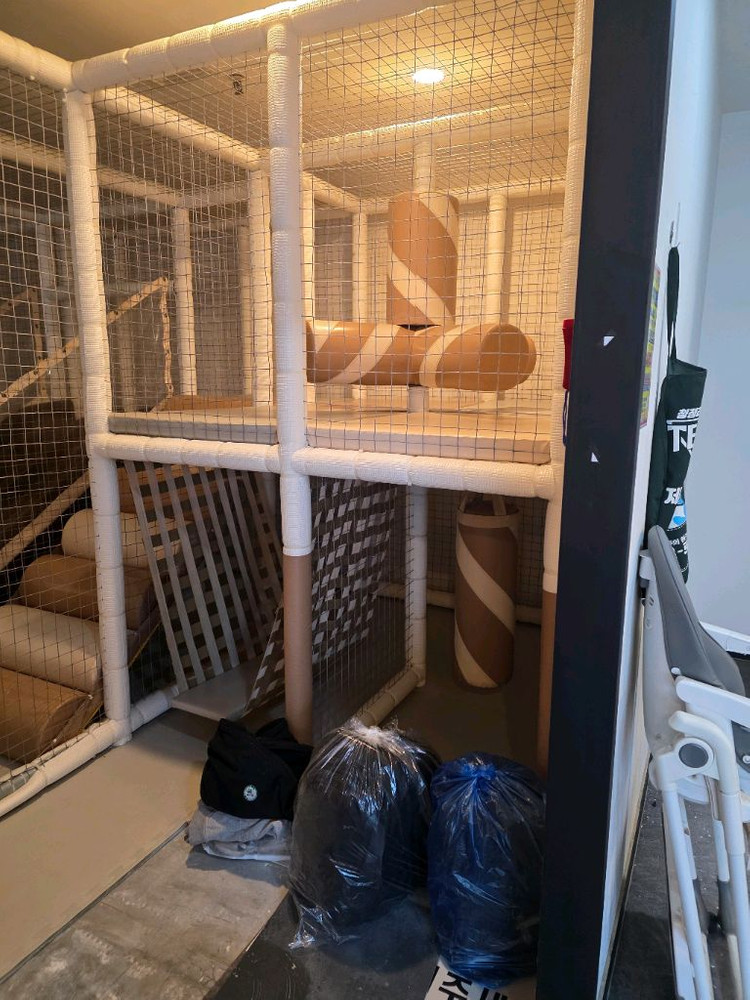 정글짐 어린이실내놀이터 이미지