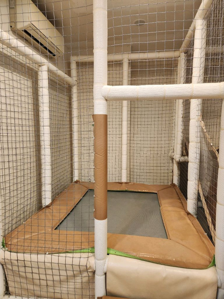 정글짐 어린이실내놀이터 이미지