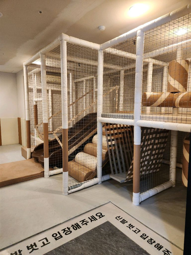 정글짐 어린이실내놀이터 이미지