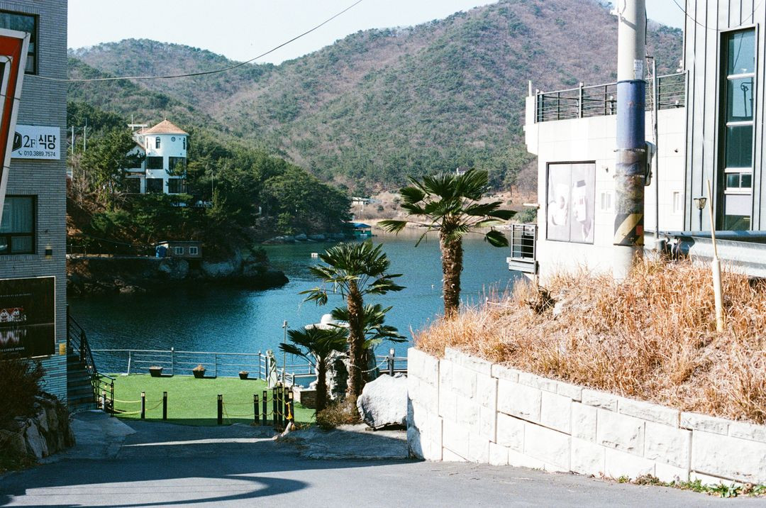 캐논 eos5 + 캐논 ef50mm f1.4 usm 이미지