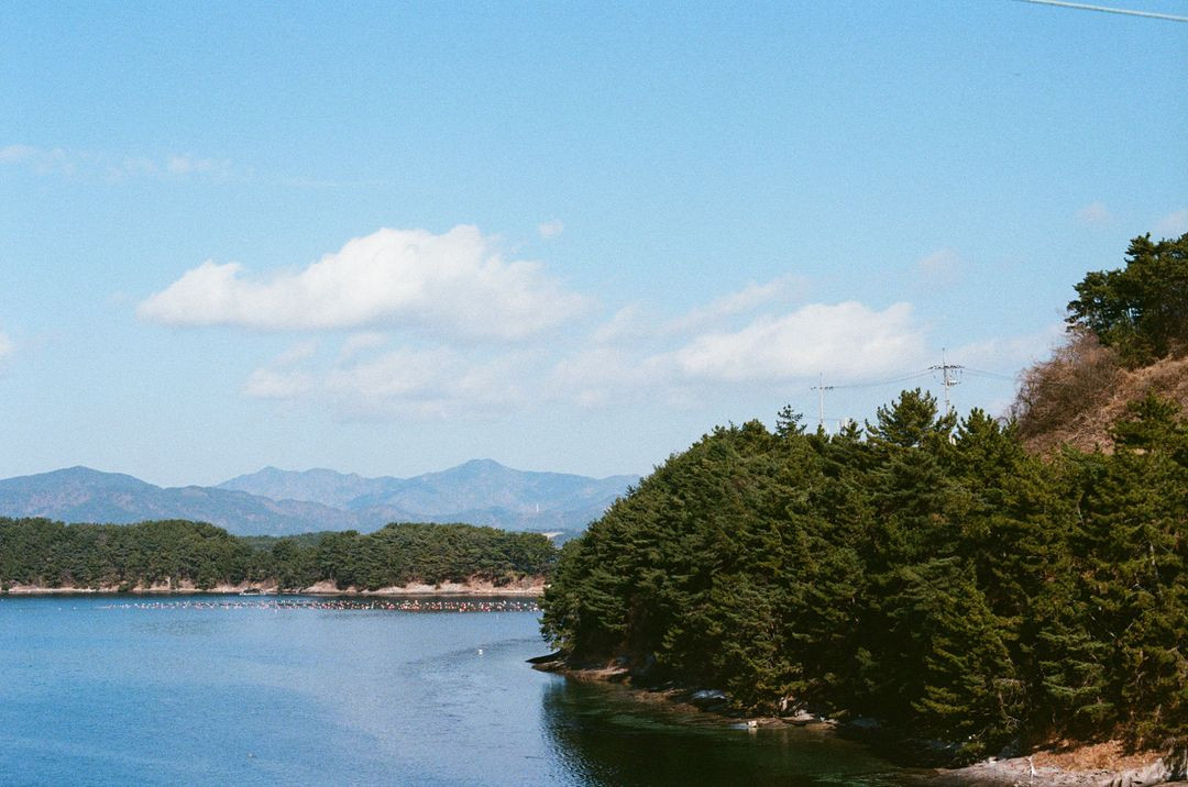 캐논 eos5 + 캐논 ef50mm f1.4 usm 이미지