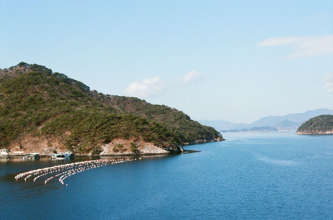 캐논 eos5 + 캐논 ef50mm f1.4 usm 이미지