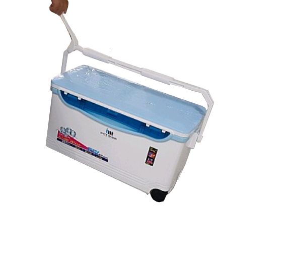 대장쿨러 대용량 아이스박스-갈치 방어 부시리 이미지