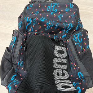 아레나 선인장 백팩