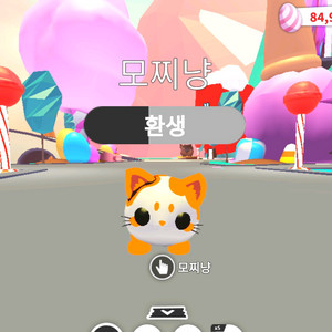 입양하세요 네온 모찌냥 팔아요 이미지