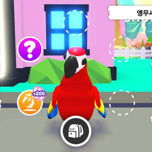 입양하세요~~펫!! 판매합니다 이미지