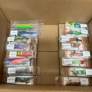 갑오징어 에기 일괄 이미지