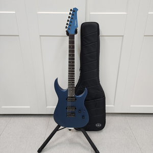 헥스 슈퍼스트랫 일렉기타 SE200 PB 이미지