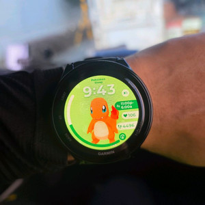 가민 포러너 970