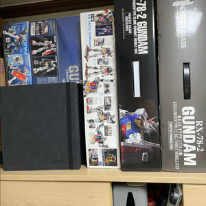 pg 퍼스트 구판 크롬,티타늄피니쉬,오오쿠니 리얼타입,언리쉬드,1/48요코하마, rg뉴건담 티피, 사자비 이미지