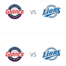 롯데 VS 삼성 야구 개막전 좋은자리 보유