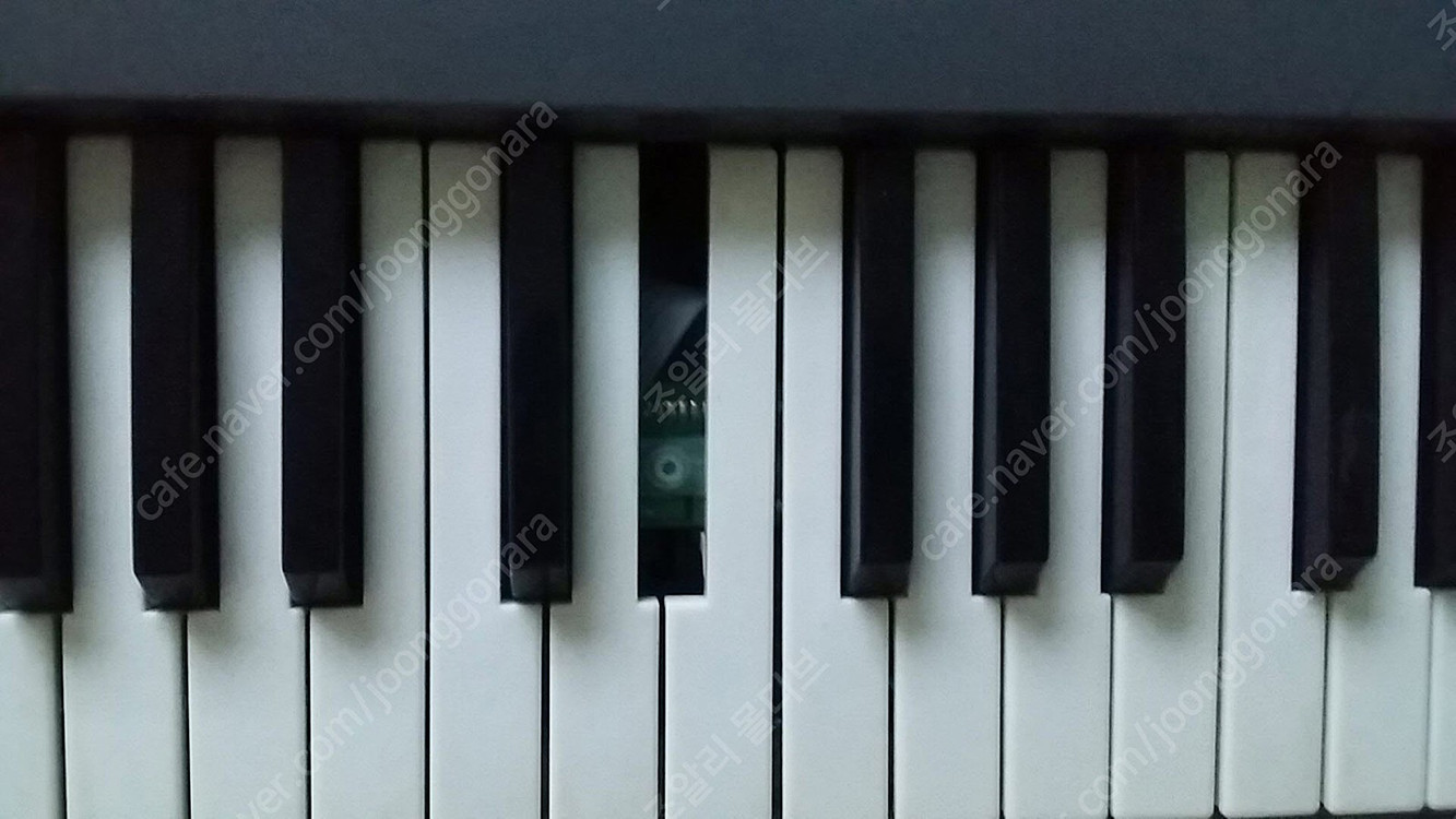 아콘 마스터키 25, 키스테이션 49, 전자 피아노 바,이,엘 120, ﻿카시오 CT 700, ﻿﻿삼익 N1PRO 이미지