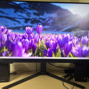 삼성전자 오디세이 G5 G52A S32AG520 32인치 QHD IPS 모니터 이미지