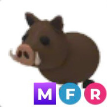 입양하세요 메가 멧돼지 이미지