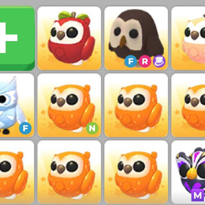 입양하세요 부엉이 이미지