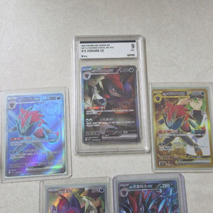 N의 조로아크 세트 이미지