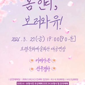 보령 카더가든,선우정아 티켓 삽니다 이미지